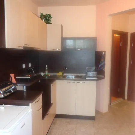 Apartment Ana Studio *